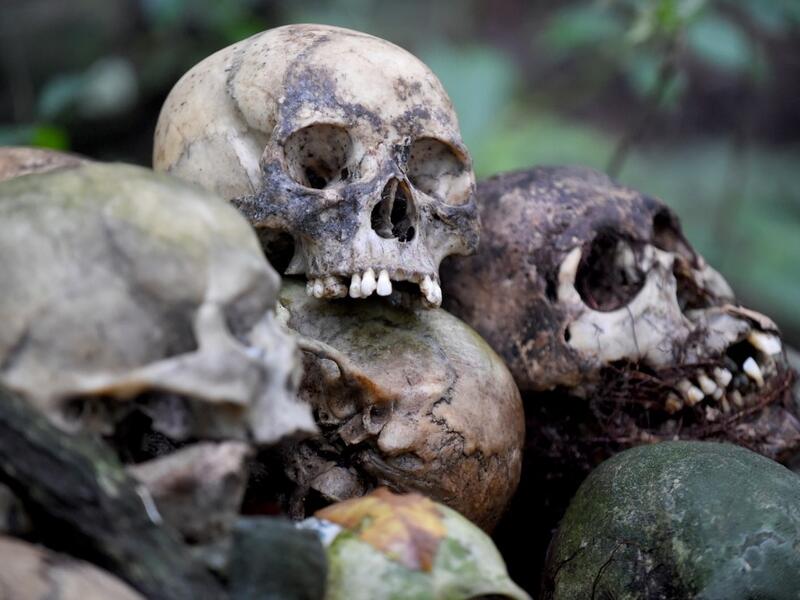 This picture taken on February 20, 2020 shows skulls at a cemetery where Bali's Trunyanese people hold open-air burials - before restrictions were implemented due to the COVID-19 coronavirus - near the village of Trunyan in Bangli Regency, near Lake Batur on Bali island. For centuries Bali's Trunyanese people have left their dead to decompose in the open air, the bodies placed in bamboo cages until only the skeletons remain -- a ritual they haven't given up -- even as the COVID-19 pandemic upends burial pra