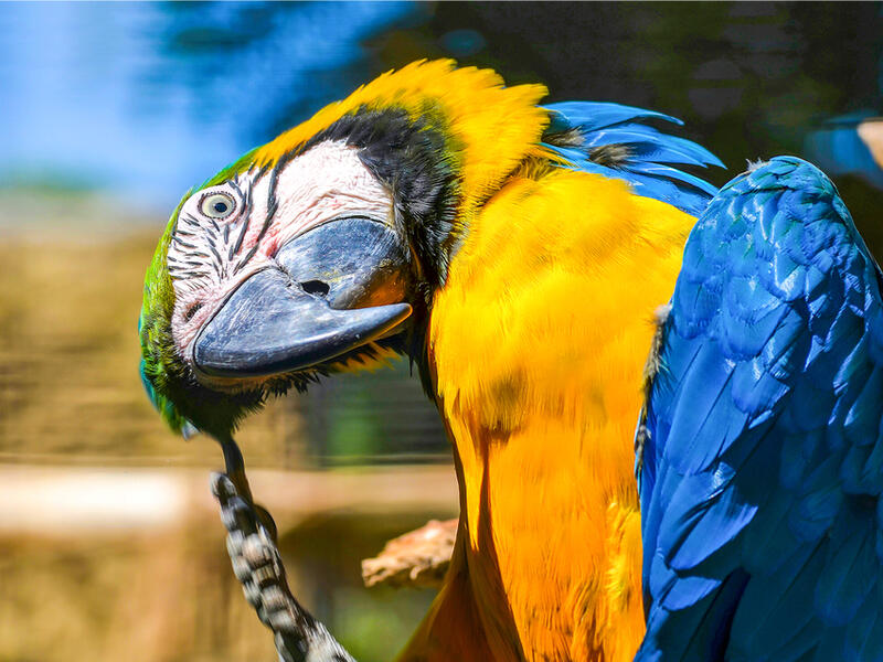  (Shutterstock)	