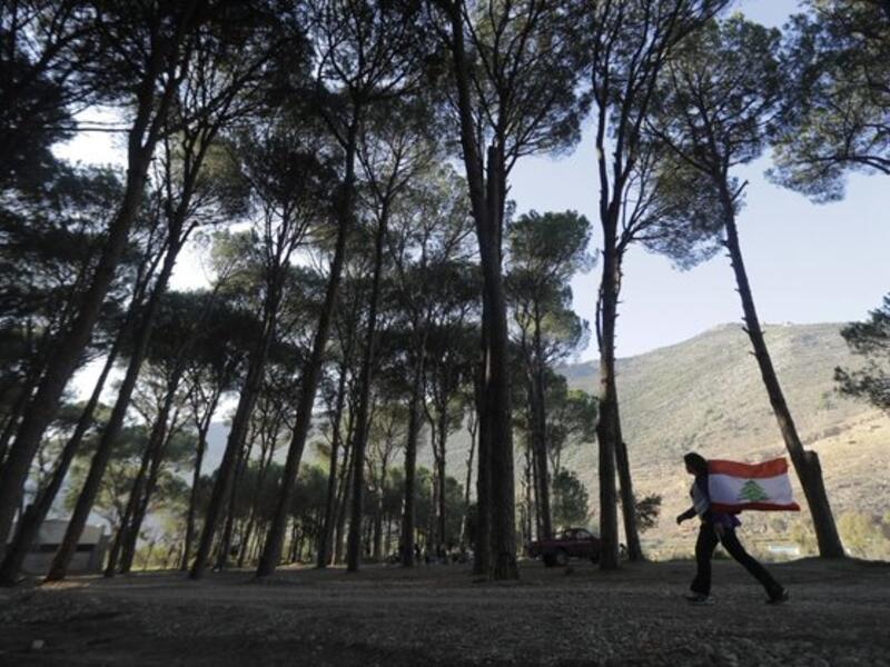 The Lebanese state, specifically the government of technocrats and its supporters, insists on cutting hundreds of thousands of trees in order to implement the Bisri dam project, or the ‘death dam’ as described by its opponents (Twitter)
