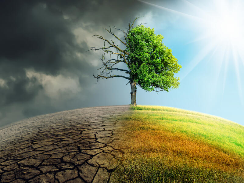 The sixth month of 2020 witnessed numerous environmental disasters. (Shutterstock/ File Photo)