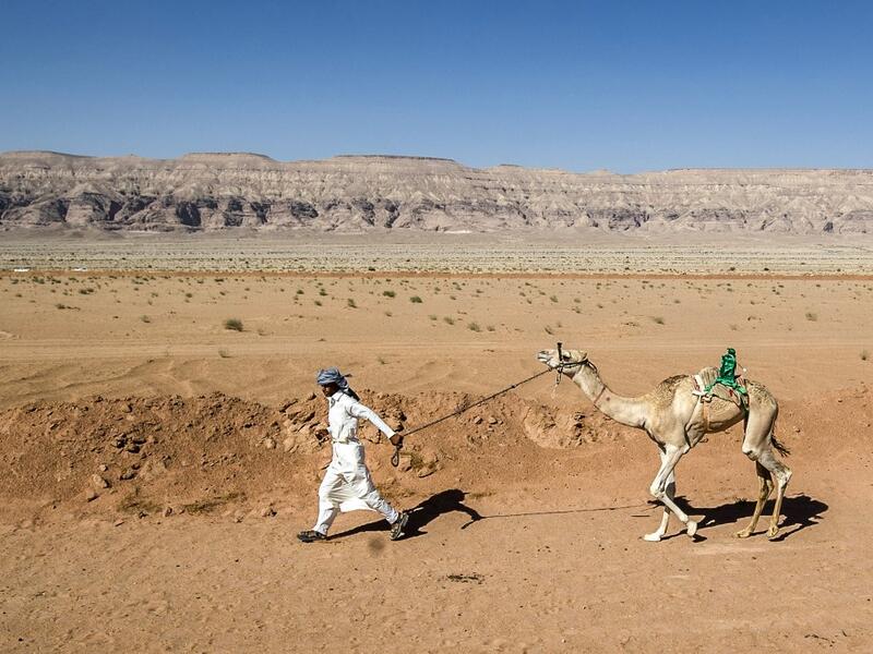 Camel racing is a traditional sport in many Arab countries, most notably in the Gulf region, and in Egypt, bedouins of the South Sinai desert have kept up the tradition. But race events have been suspended since March following the COVID-19 outbreak, and orders only came down at the beginning of the month that they could resume this weekend. Khaled DESOUKI / AFP