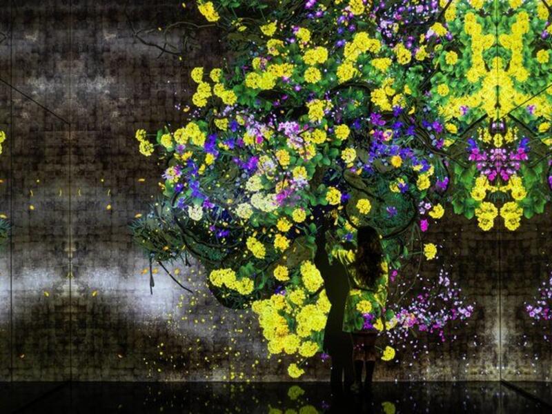 Japan’s TeamLab looks to explore the world “beyond borders,” merging both arts and technology to create their Borderless exhibitions around the world. (Via TeamLab/Supplied)