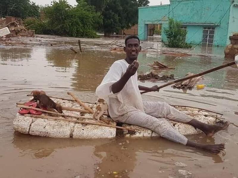  لقطة إنسانية لشاب سوداني ينقذ كلاب صغيرة من الغرق