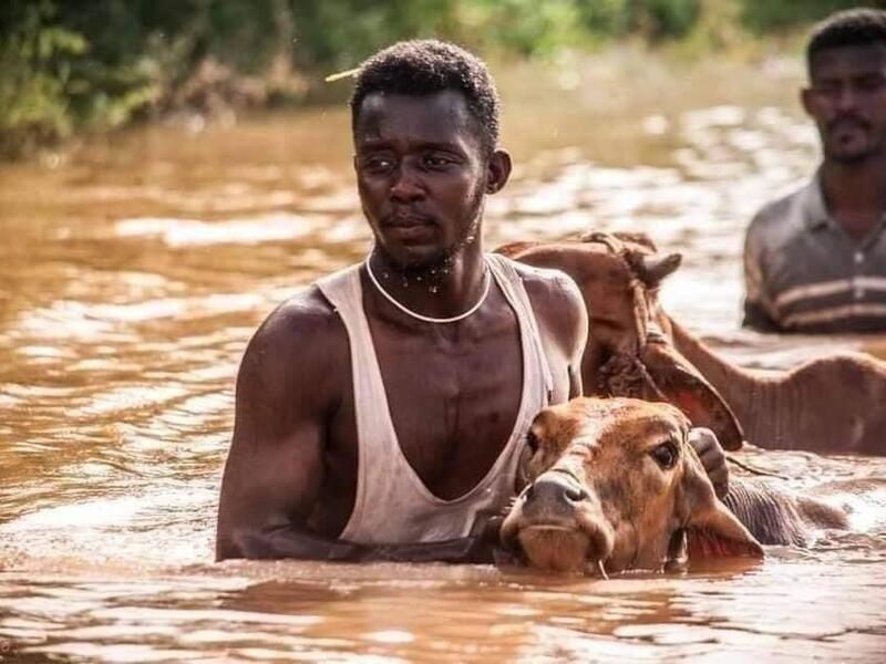 Officials say that across Sudan seasonal floods have killed 94 people, injured 46 and destroyed or damaged over 60,000 homes, with the river level rising to 17.43 metres (57 feet feet). Twitter