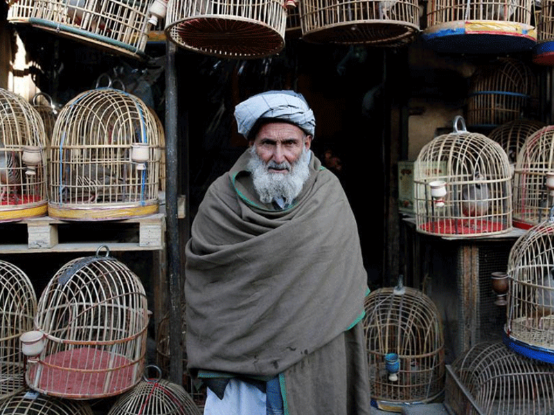 2. Ka Firushi Bird Market in Kabul