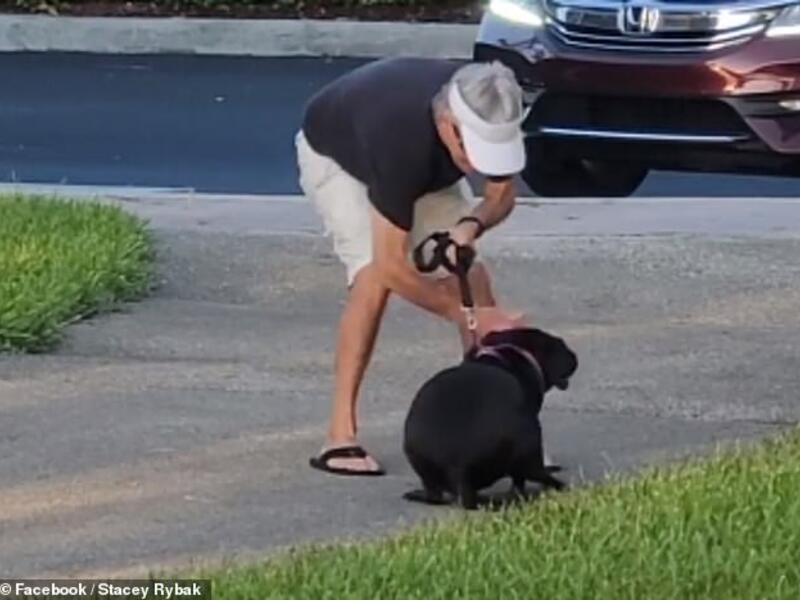 With his fist clenched, the man hit Adi, a Labrador - Pitbull mix, as she huddled on the ground. (Video screenshot/ Facebook)