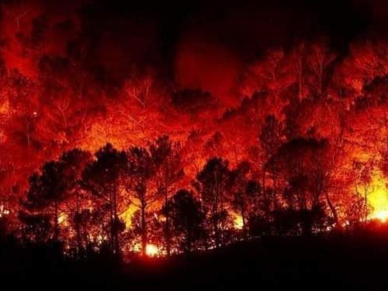 Fires in Syria killed two people. (Twitter)