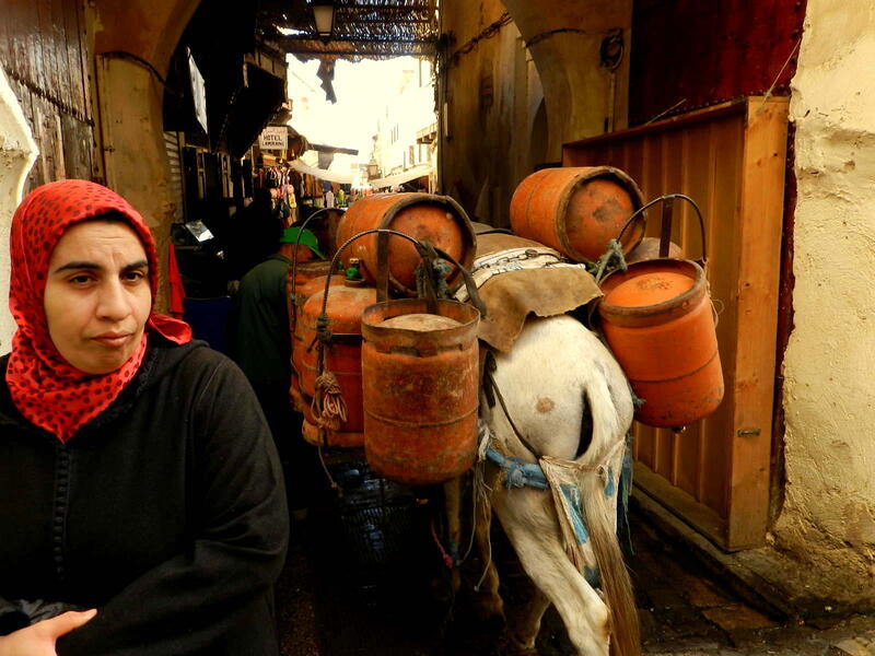 Donkeys in Fez, near Bab Bou Jeloud (Blue Gate), one of the first things you might see. Most of the Fez medina, which contains close to 10,000 streets, is completely car-free /Photo Ewelina Lepionko