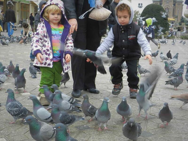 Children are feeding pigeons in the city center of  Timișoara, Romania/Photo by Ewelina Lepionko