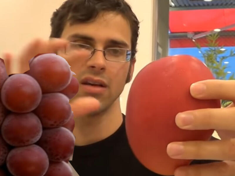 فواكه باسعار خيالية