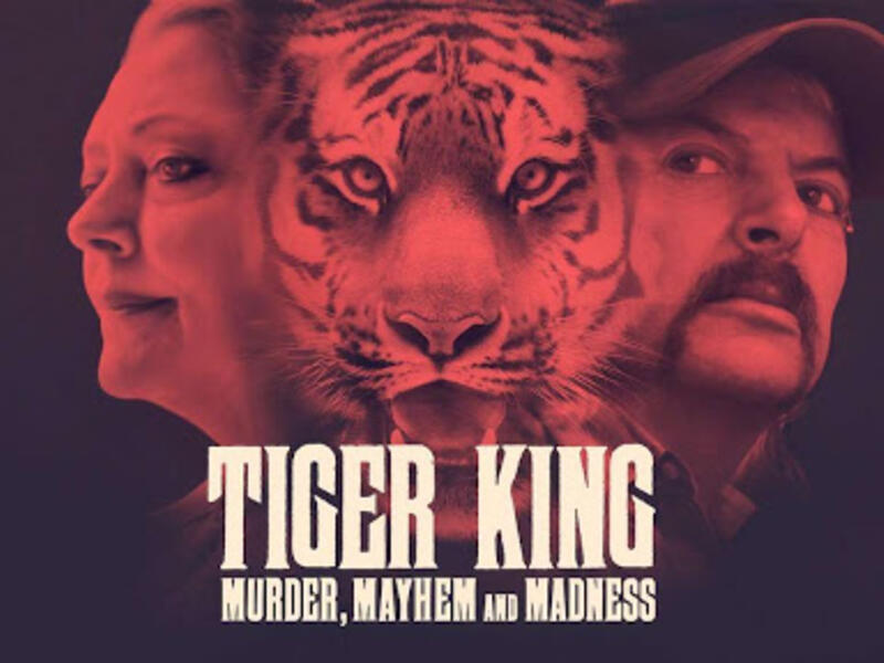 برامج تلفزيونية: Tiger King وهو مسلسل وثائقي أمريكي قصير عن الجريمة الحقيقية لعام 2020 حول حياة حارس حديقة الحيوان جو إكزوتيك.