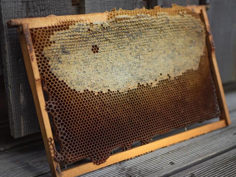 From the “made by bees” series (Instagram)