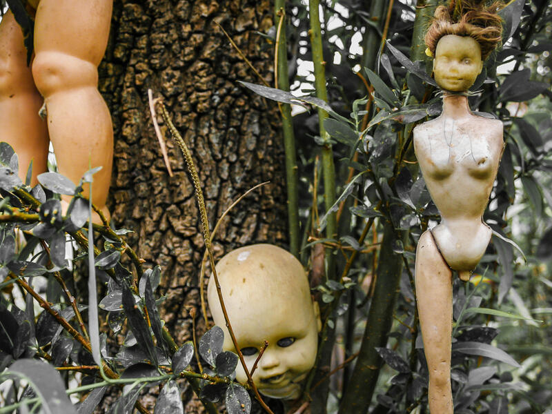 Creepy old dolls in the abandoned Island of the Dolls, Xochimilco, southern Mexico City. (Shutterstock)