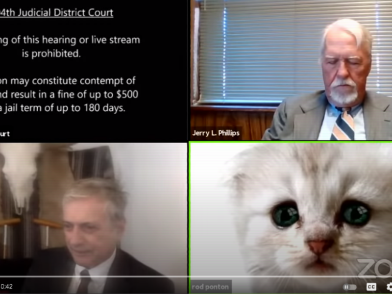 The Lawyer Who Turned Into a Cat During Court Hearing Makes Headlines