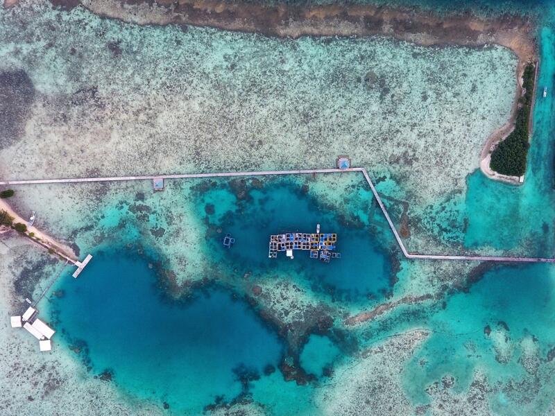 تفسير الحلم بالبحيرة في المنام؟