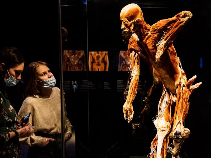People visit the "Body Worlds", the anatomical art exhibition of plastinated human bodies