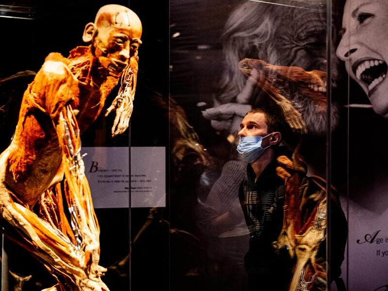 People visit the "Body Worlds", the anatomical art exhibition of plastinated human bodies