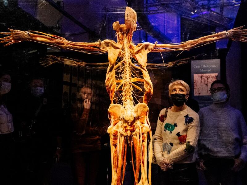 People visit the "Body Worlds", the anatomical art exhibition of plastinated human bodies