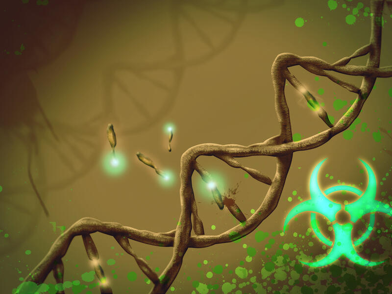 Zombie genes are being developed after death