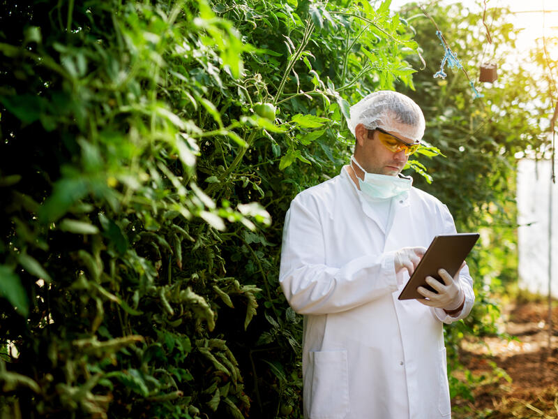 Plants can communicate with humans 