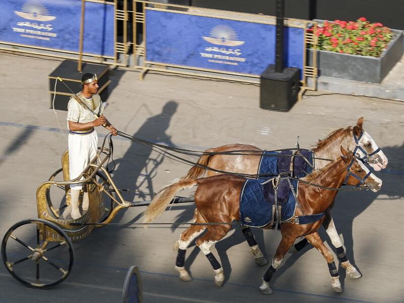 A re-enactor dressed in costume rides a two-horse chariot in Tahrir Square, in the centre of Egypt's capital Cairo 