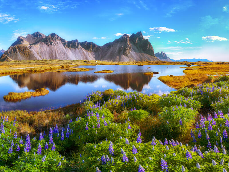 8. Iceland