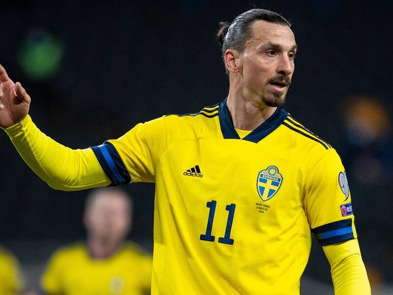 السويدي زلاتان إبراهيموفيتش (6 أهداف)