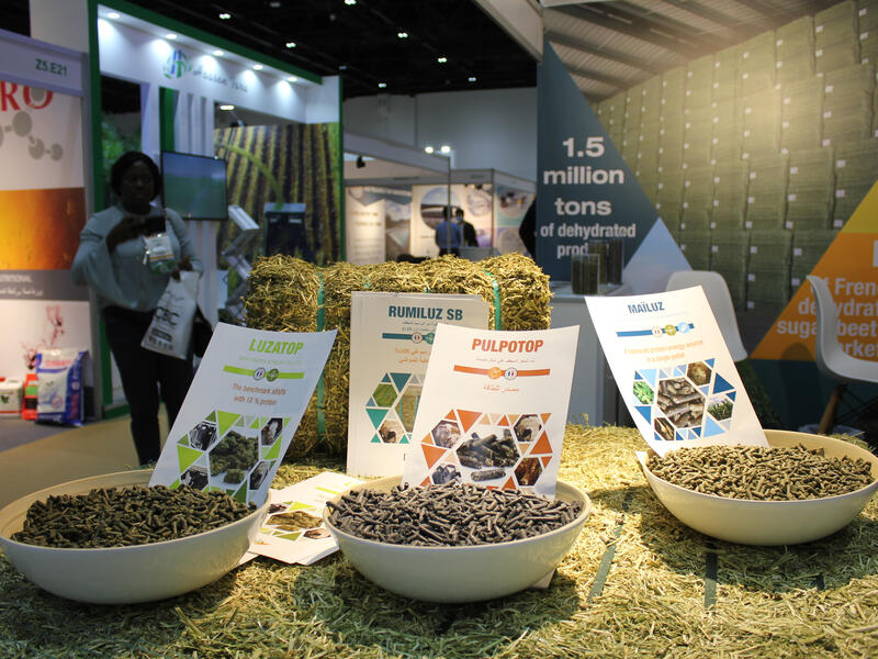 food expo