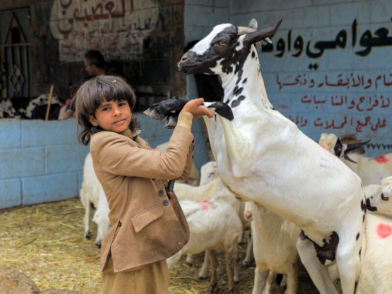 A boy holds the front legs of a goat at a livestock market in Yemen's capital Sanaa on July 14, 2021, as people buy provisions in preparation for the Eid al-Adha holiday celebrations. Known as the "big" festival, Eid Al-Adha is celebrated each year by Muslims sacrificing various animals according to religious traditions, including cows, camels, goats and sheep. MOHAMMED HUWAIS / AFP