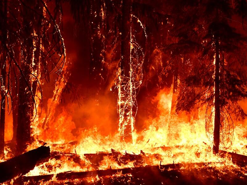 Wildfires erupts in Northern California Forests