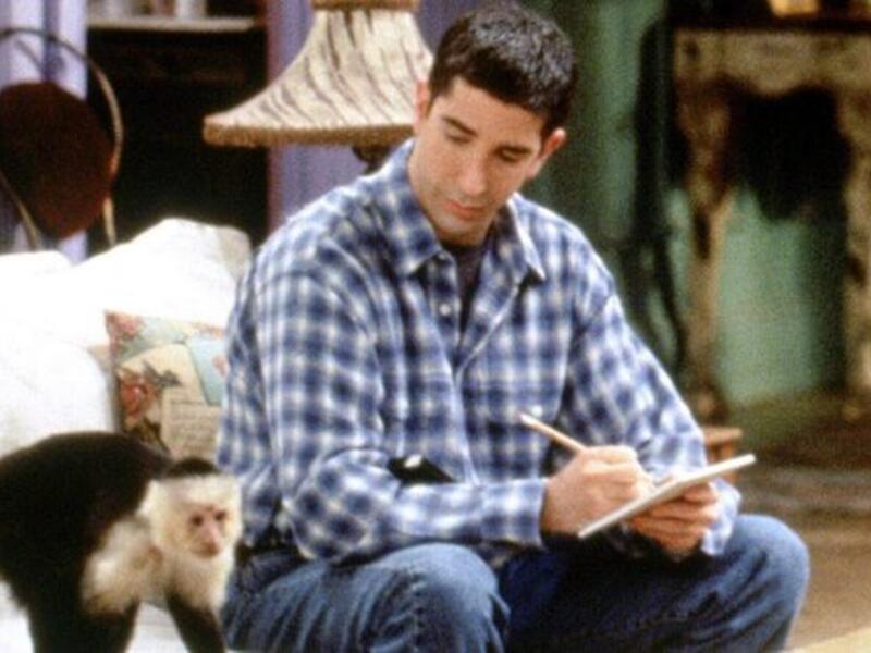 David Schwimmer