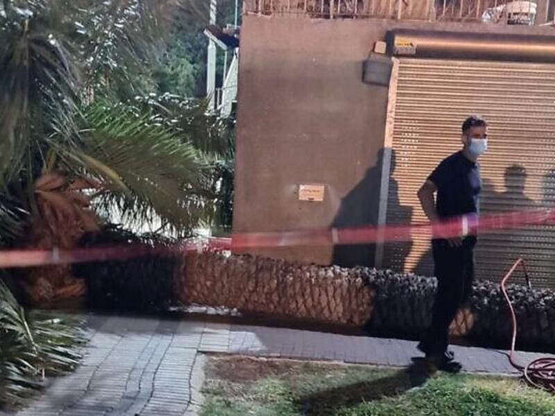 شجرة نخيل تسحق رأس ستينية في طبريا