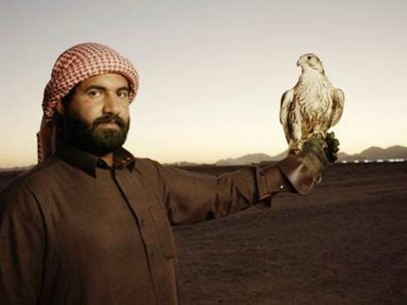 "حلفاء الطبيعة".. وثائقي عن الصقارين بالمملكة العربية السعودية