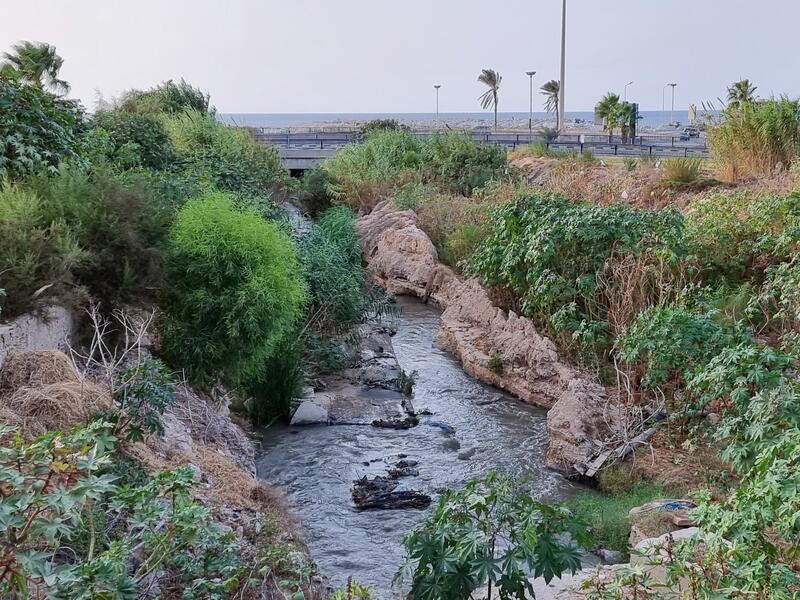 Pollution at Libya beaches