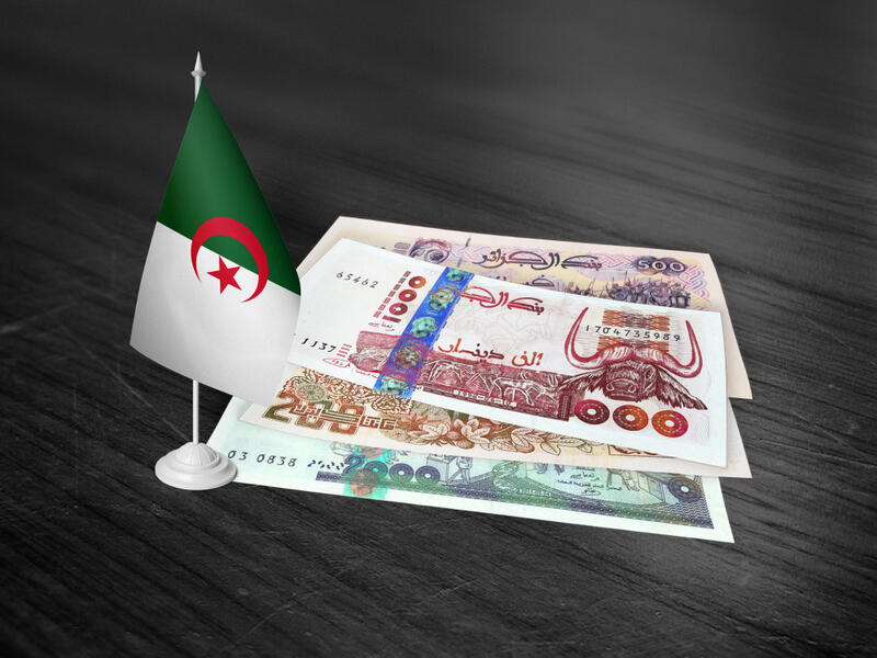تهدف خطة العمل، التي سيناقشها البرلمان، أيضاً إلى تطوير قطاع الزراعة للمساعدة في خفض الإنفاق على واردات الغذاء