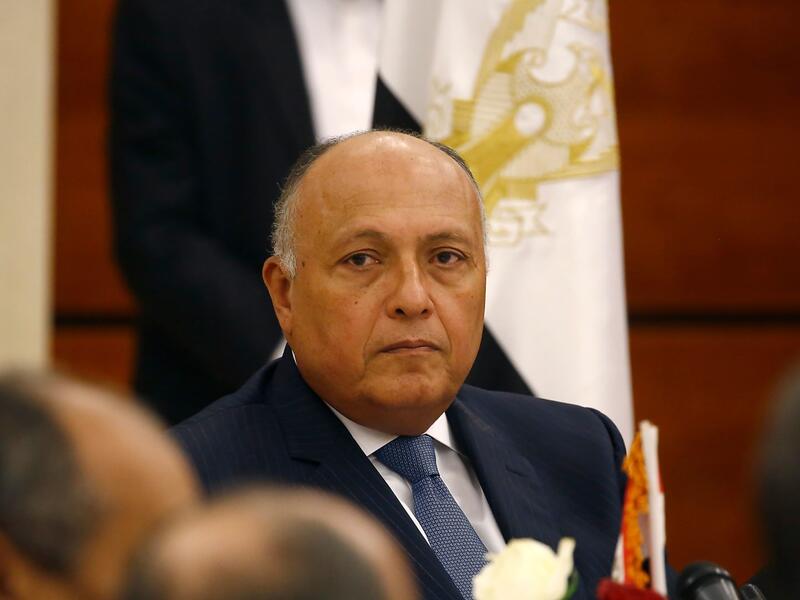  وزير الخارجية المصري سامح شكري