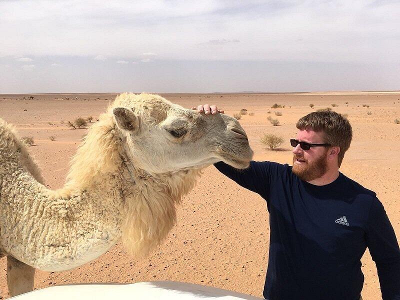 تعبيرية