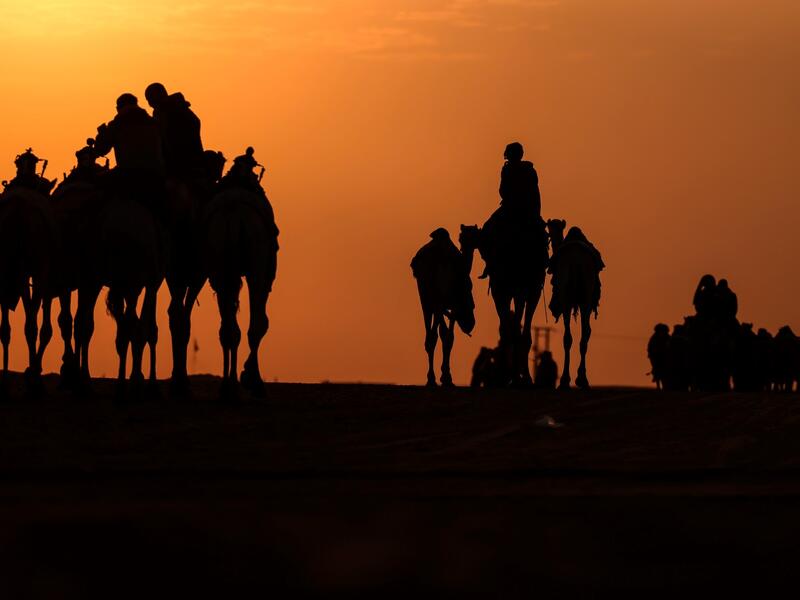 Mazayin Dhafra Camel Festival