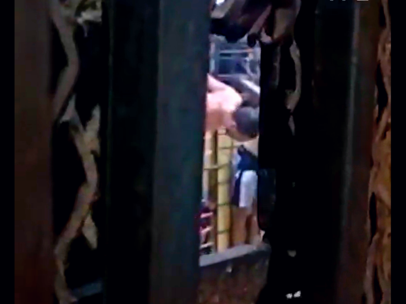torture in Egypt