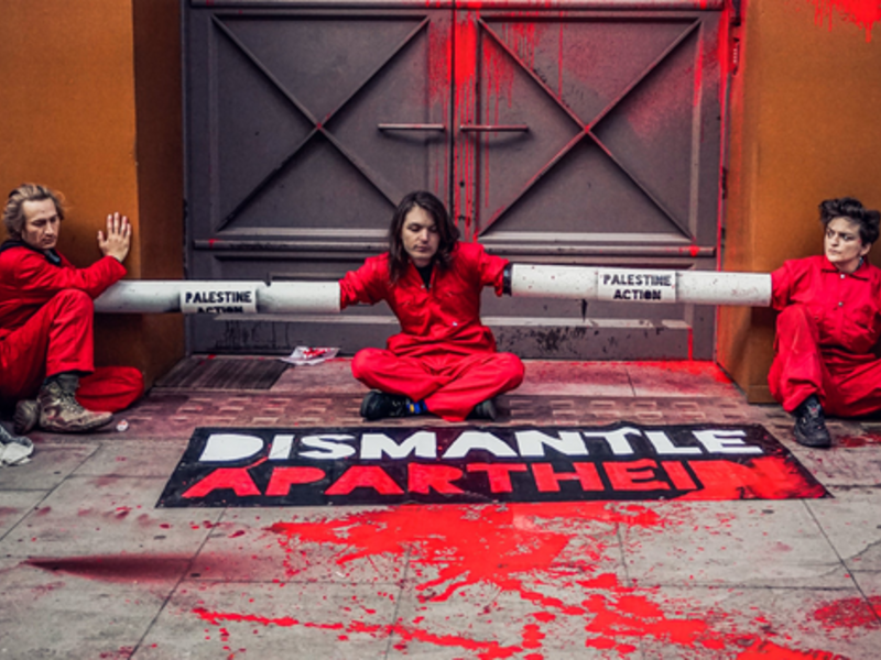 Palestine Action activists