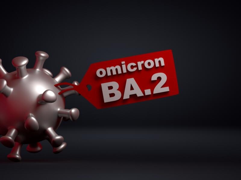 sub-variant of Omicron