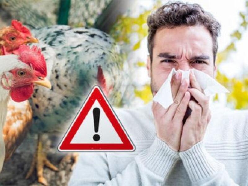 إنفلونزا الطيور: مرض يسببه أحد فيروسات كورونا السبعة التي يمكن أن تصيب البشر، وفي العام 2003، أصبح المرض المتفشي الذي نشأ في مقاطعة غوانغدونغ الصينية وباء عالميًا انتشر سريعًا إلى 26 دولة، وأصاب أكثر من 8000 شخص وقتل 774 منهم.