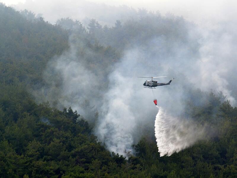 Batramaz forest fire 