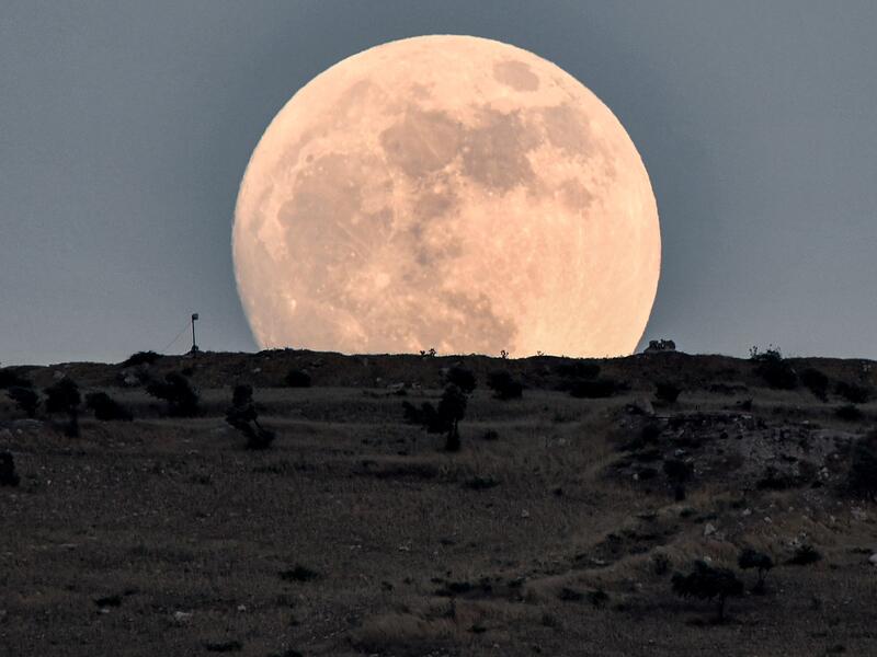 strawberry moon