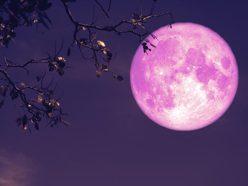 Strawberry Supermoon
