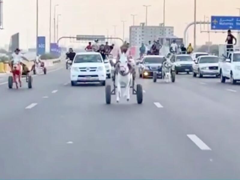 donkey cart race in Bahrain 