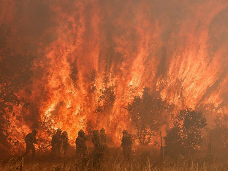 wildfires