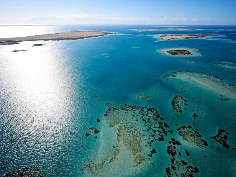 Red Sea 