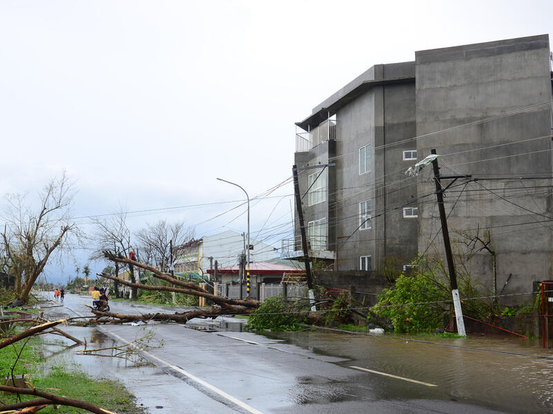 Typhoon 