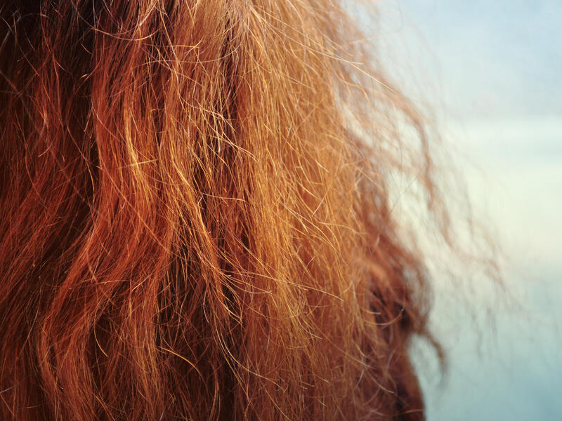 Frizzy hair